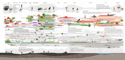 Designing a dynamic food landscape